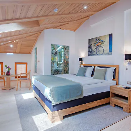 Aziza 4* Saraybosna